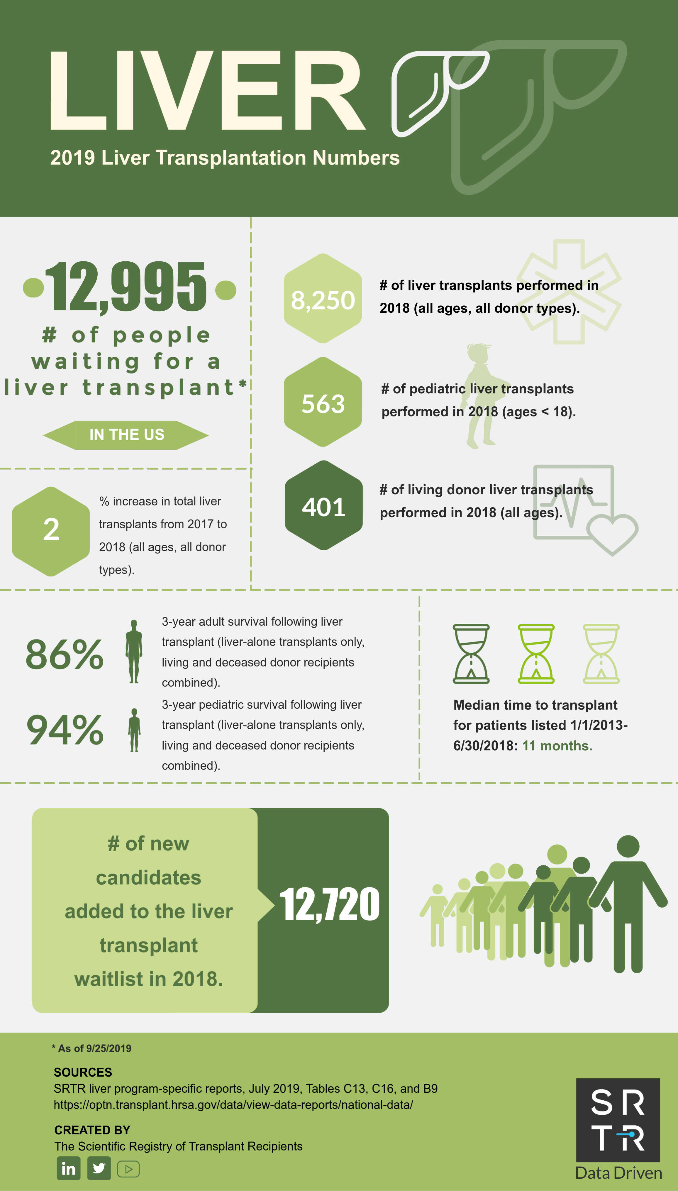 Liver Transplants 2019 - 2020
