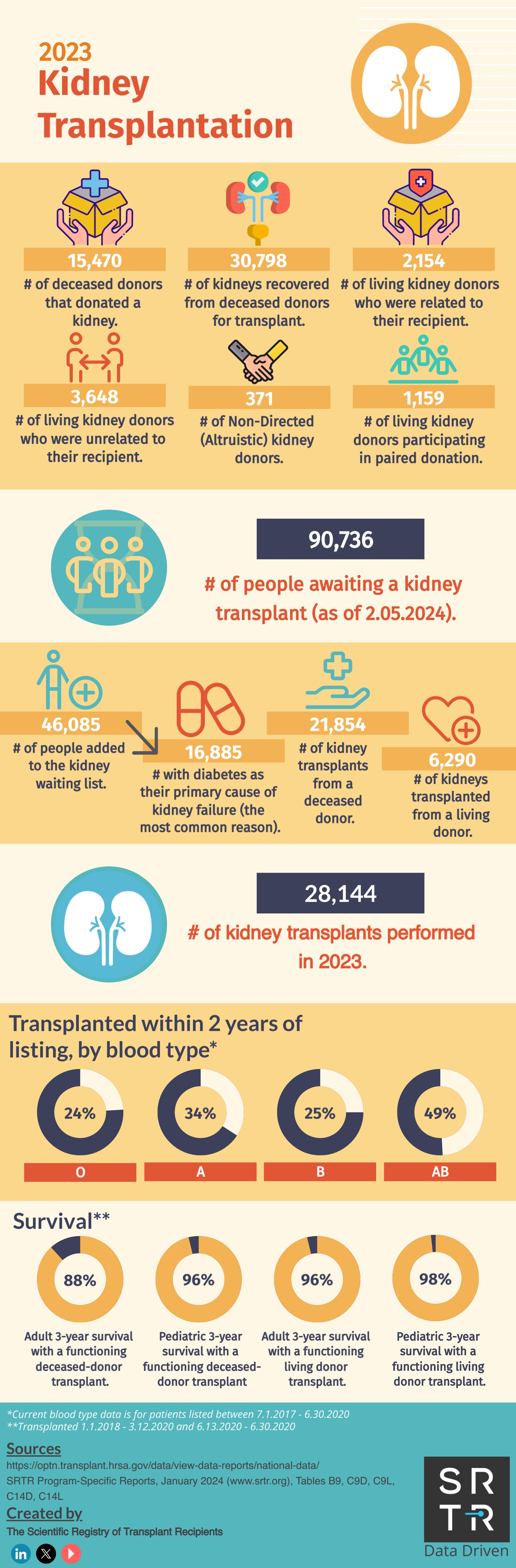 Kidney Transplants 2023 - 2024